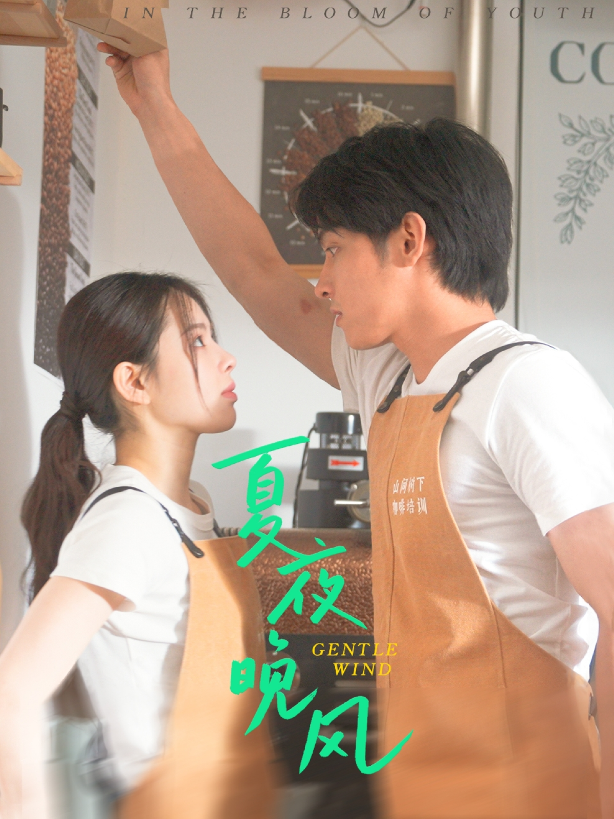 夏夜晚風(fēng)_免費觀看