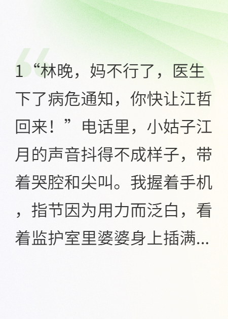 婆婆病危，他陪白月光放烟花番外彩蛋