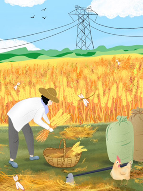 云初陈卫军岑慧芳的故事在什么小说中？