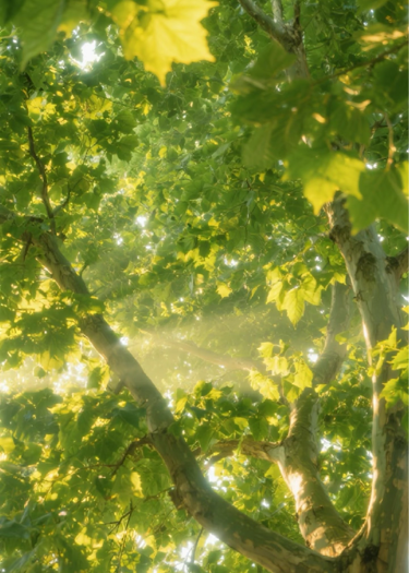 与他重逢最新章节