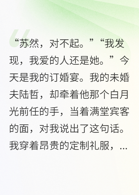 哪本书讲述了苏然沈墨陆哲的情节？