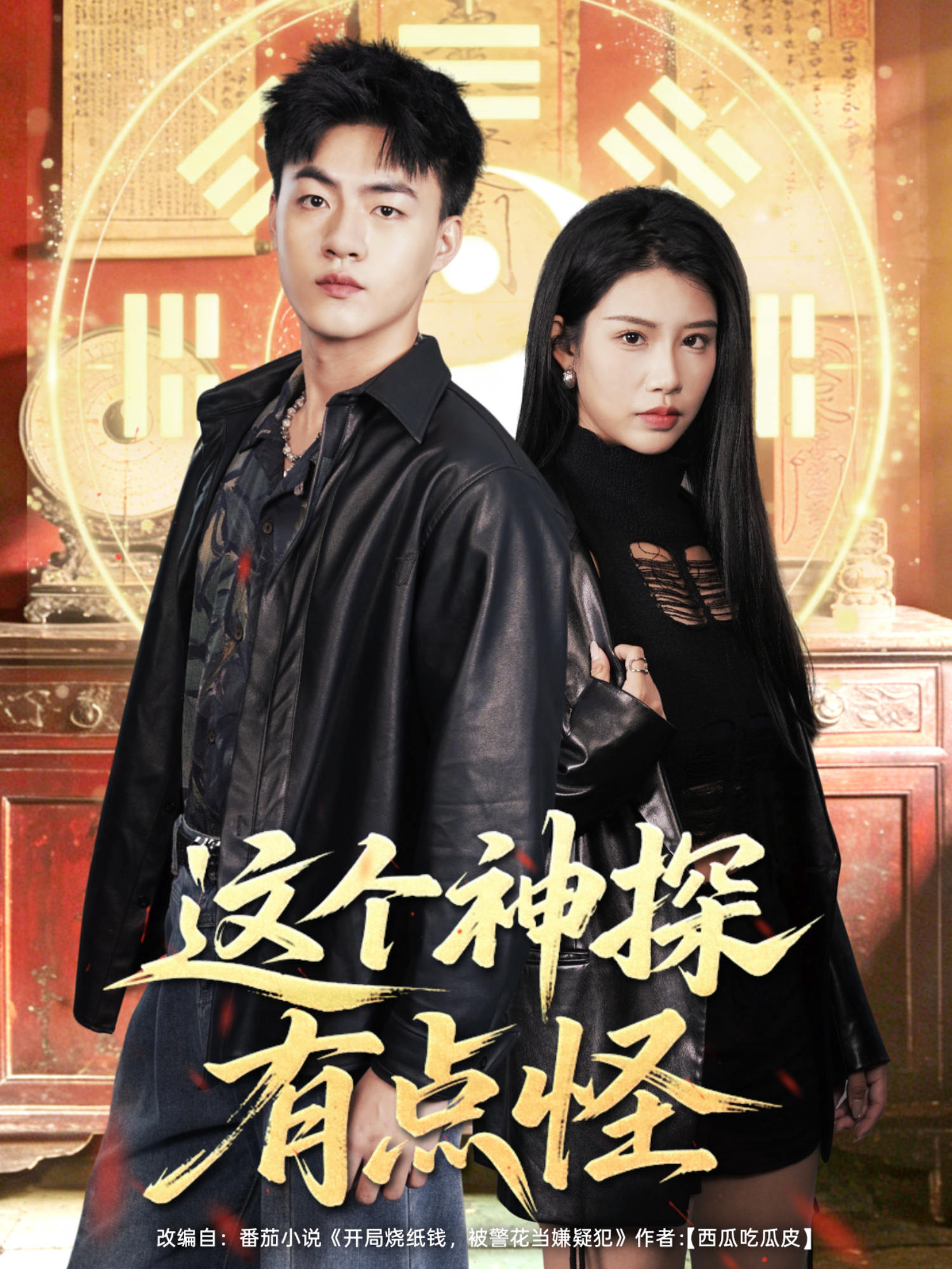 这个神探有点怪