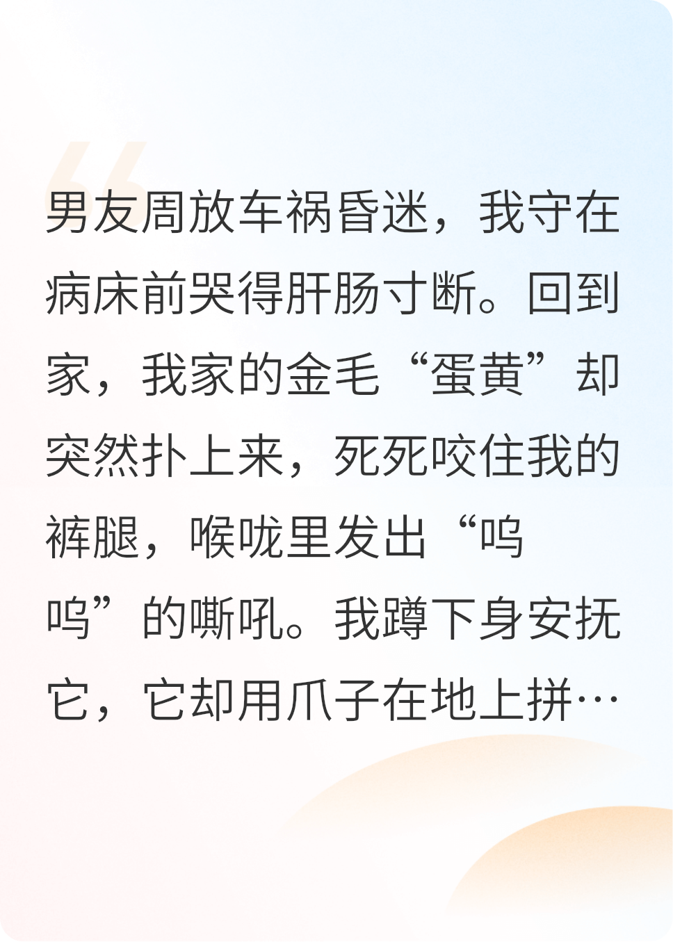 男友车祸变狗，我才知他和闺蜜要杀我热门爽文