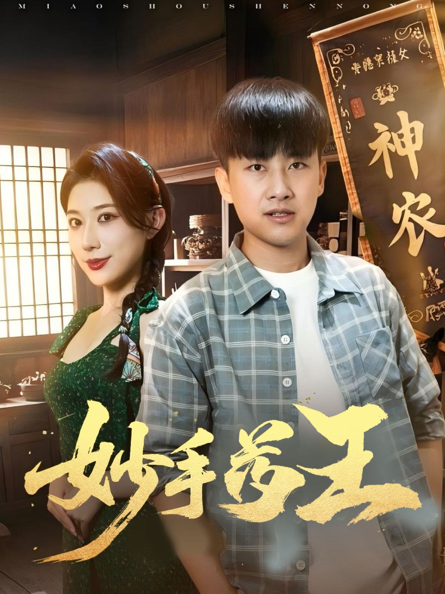 妙手藥王_全集在線