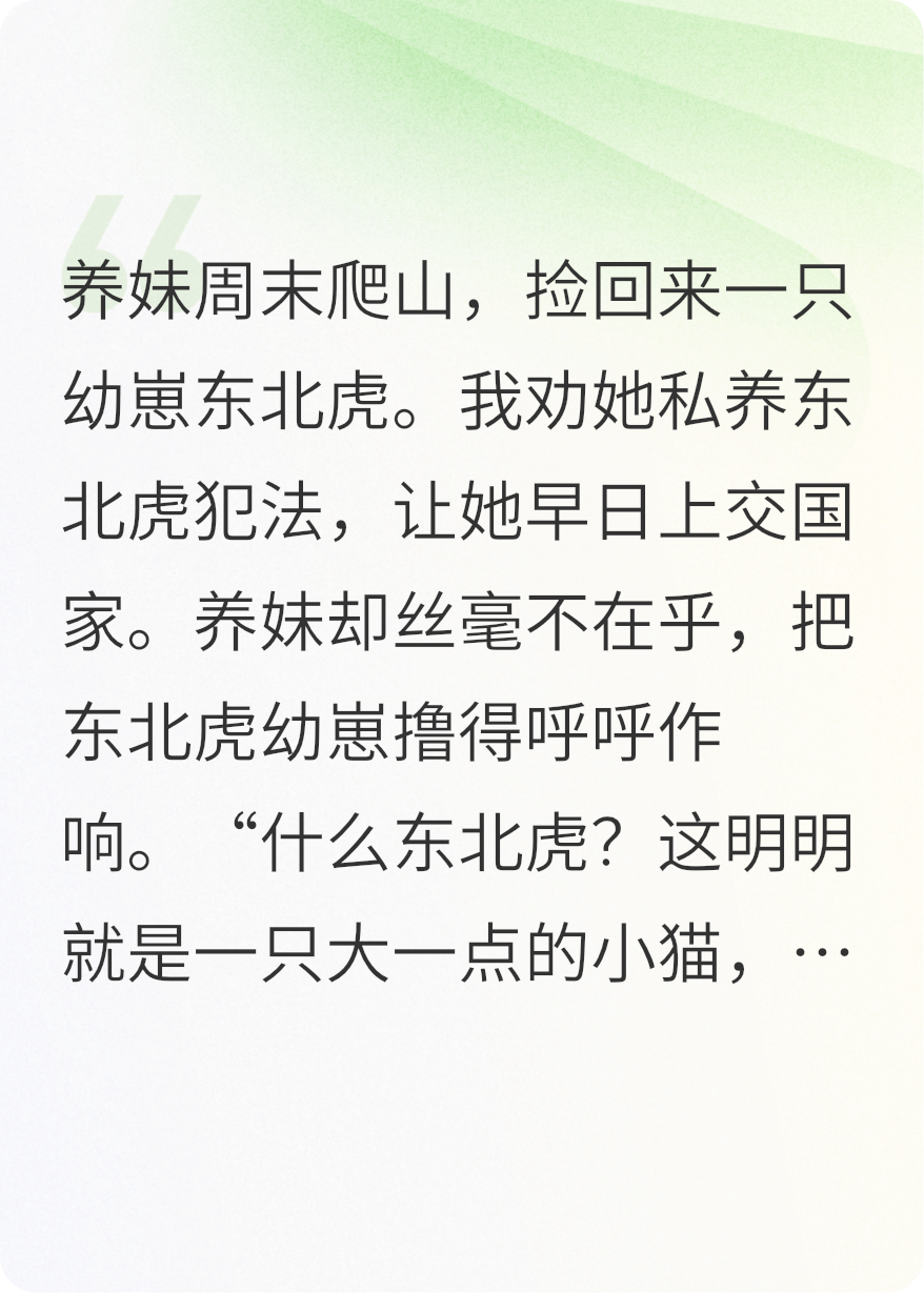 養(yǎng)妹撿到野生虎，非要在家當(dāng)貓養(yǎng)