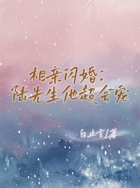 相親閃婚：陸先生他超會寵