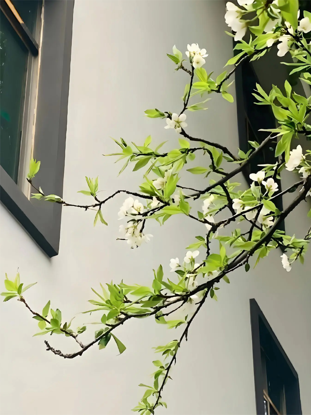 被突然出現(xiàn)的鄰家弟纏上
