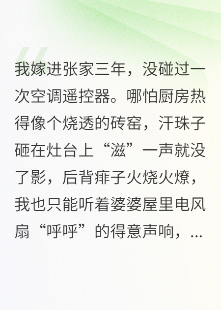 婆婆拔插頭那夜，我甩門(mén)帶走8000