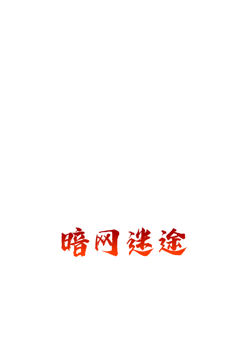 暗網(wǎng)迷途