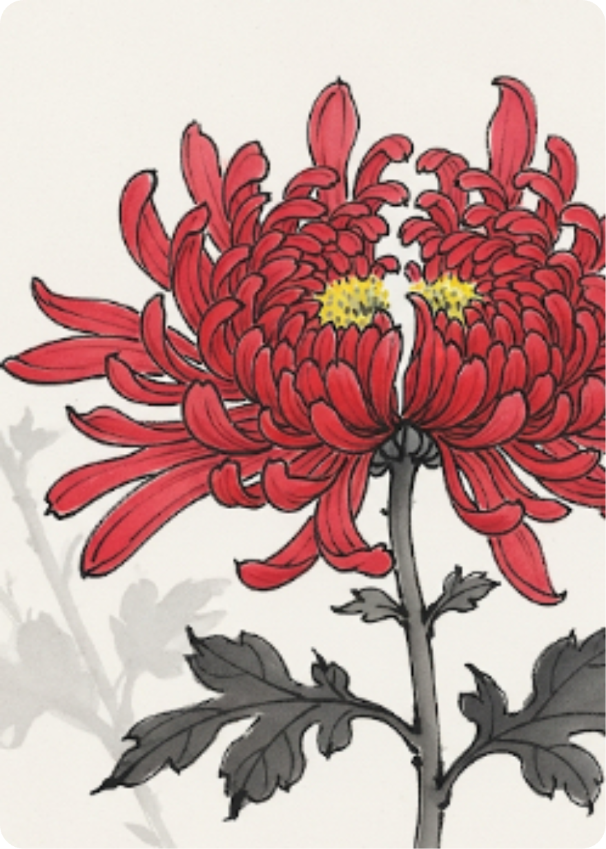 共生的赤菊
