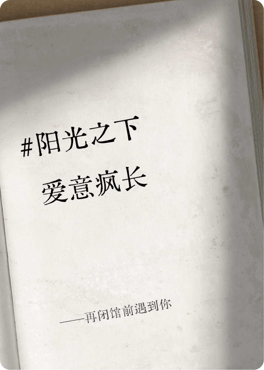 一种清晰排书架的故事在哪本小说里阅读？