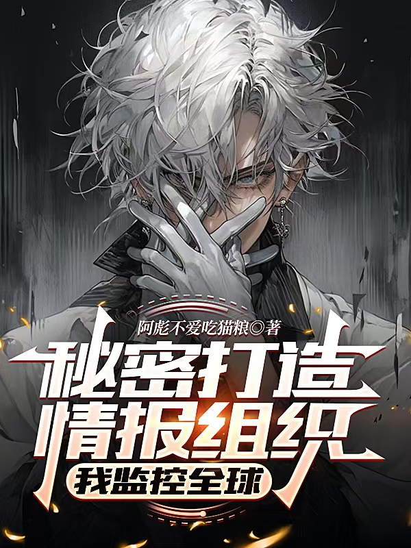 林诚情报叶岚出现在什么小说里？