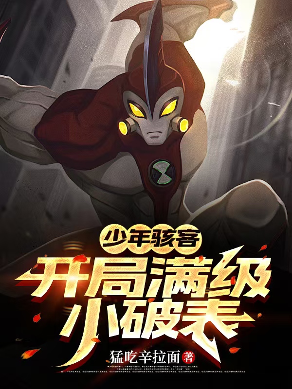 少年駭客：開局滿級小破表