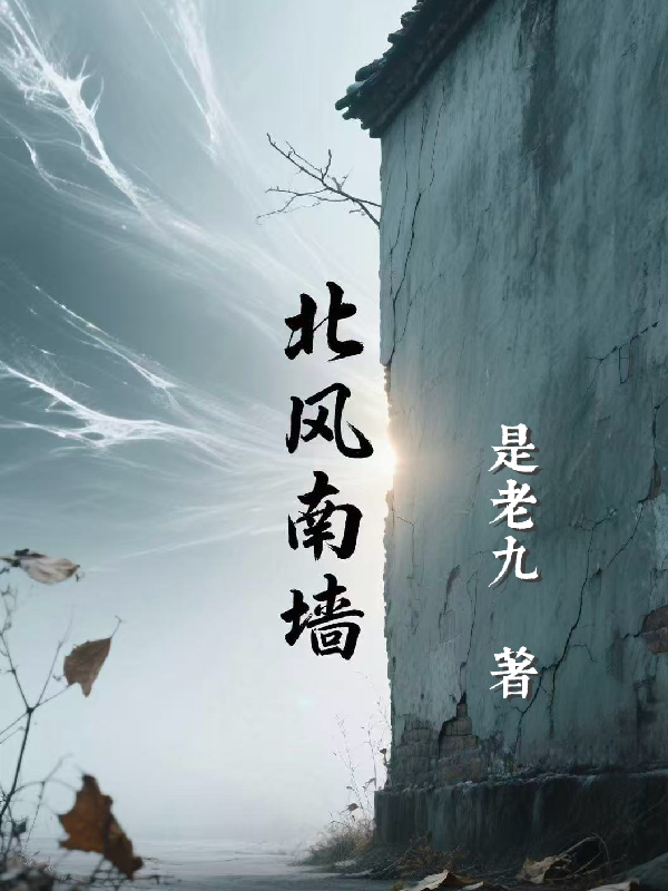 北風(fēng)南墻