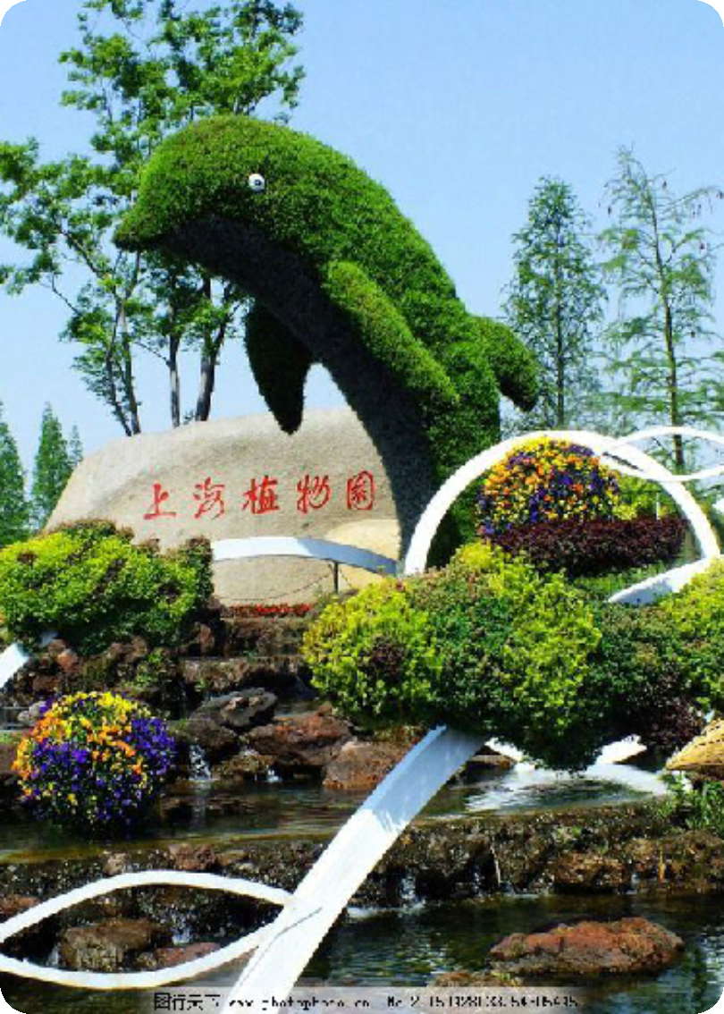 路边植物园：城市中的绿色宝藏