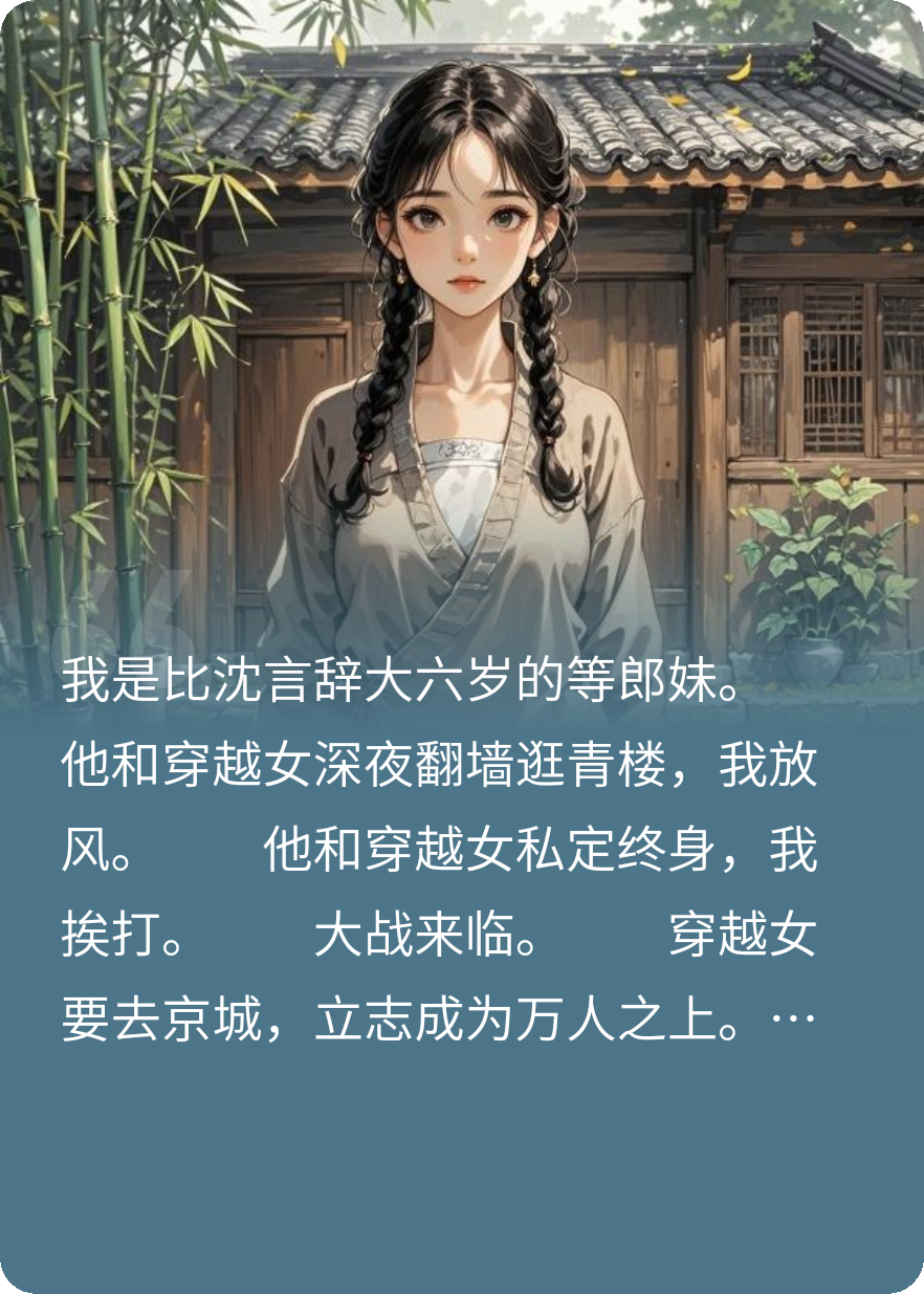 沈言辞穿越的故事在哪本小说里阅读？