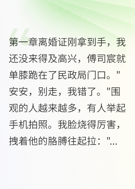 我离婚，他疯了
