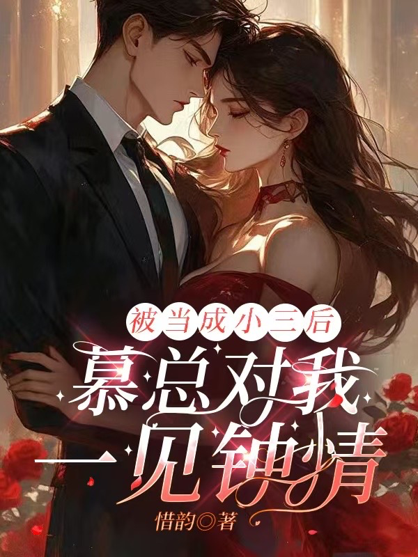 哪本書講述了沈清晚易軒的情節？