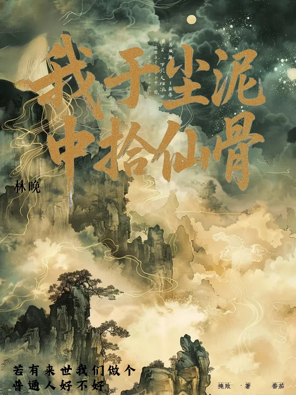 哪本书讲述了林晚的情节？