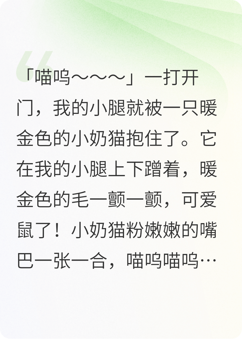我撿的貓貓是貓耳少年的半身