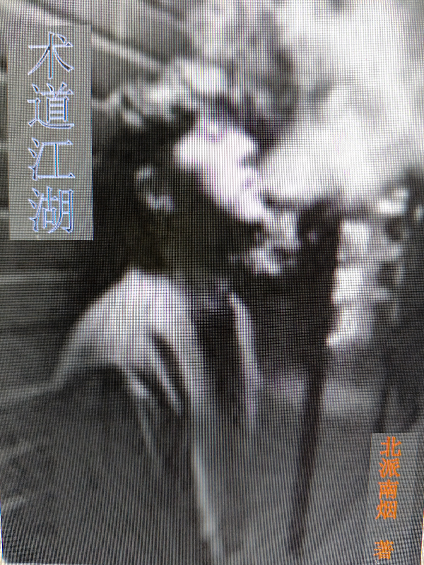 術(shù)道江湖