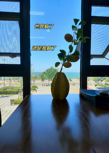 世界疯了还是我疯了1结局后续