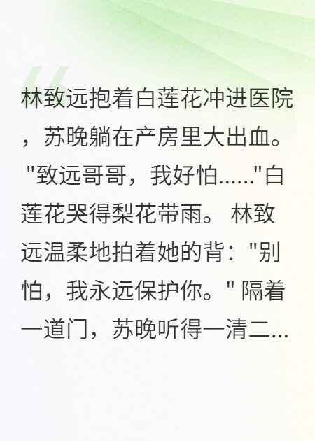 有关苏晚林致远的故事情节