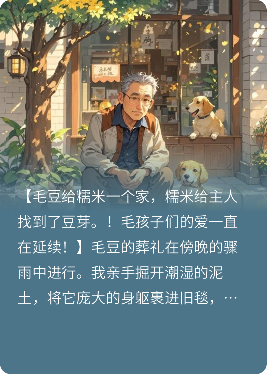 毛豆狗狗的貓咪芒果核