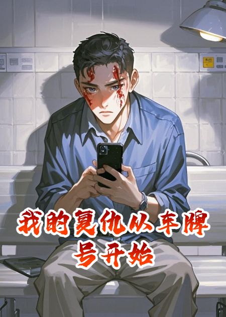 我的復仇從車(chē)牌號開(kāi)始