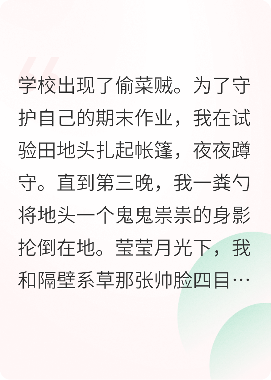 系草不是偷菜賊