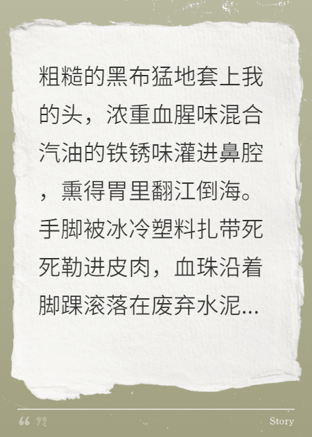 好感度系统：全豪门为我疯狂加星