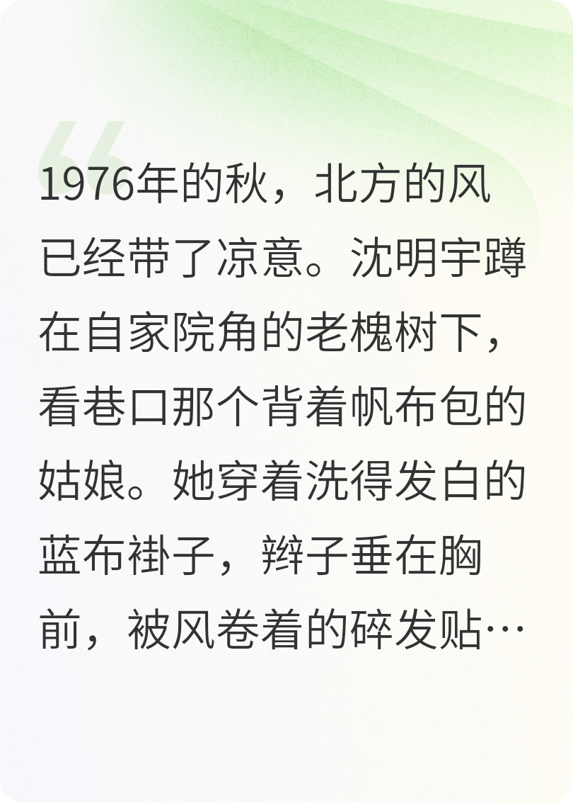 青瓦巷的舊月光