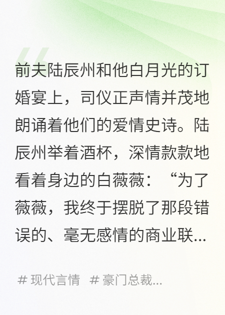 嫁給前夫他哥后，我生了三胞胎