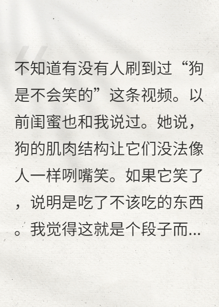 沈浩时芸的故事在哪本小说里阅读？