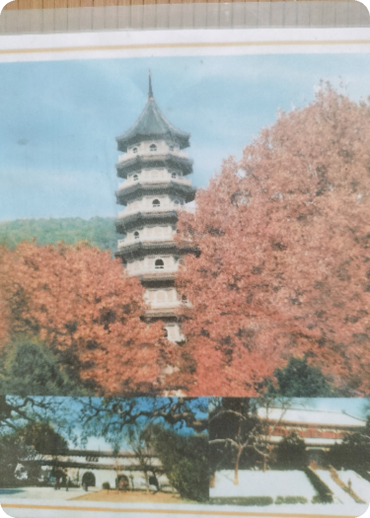 亂尸崗