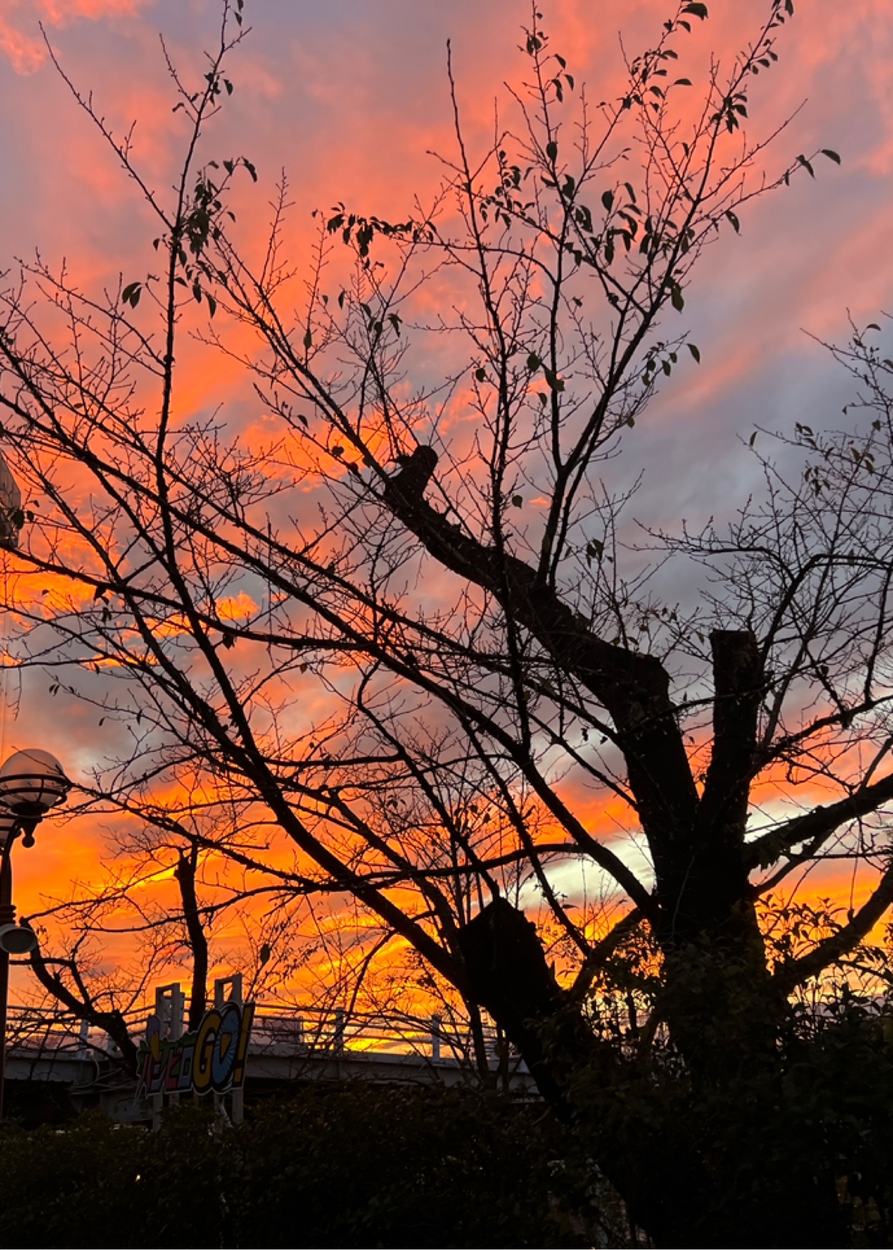 你是时光给的糖本站精选